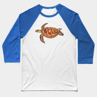 Green turtle Chelonia mydas Baseball T-Shirt